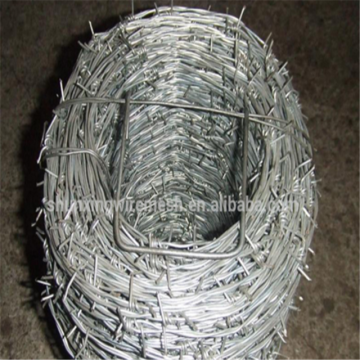 Hot sale Galvanized barbed wire