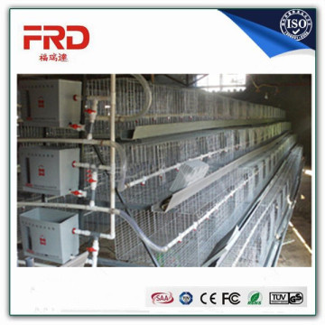 Trade assurance 100% payment guarantee factory supply automatic chicken layer cage for sale in philippines