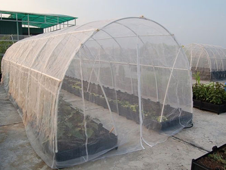 Anti-insect Screen for Greenhouse