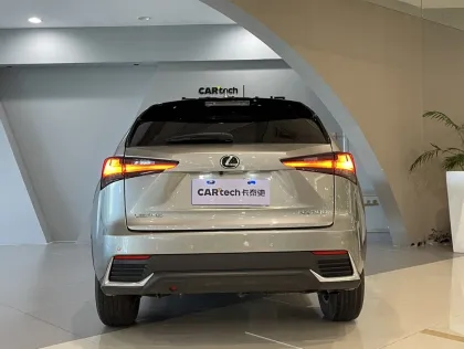 Lexus NX 2020 200 FWD Fengxing