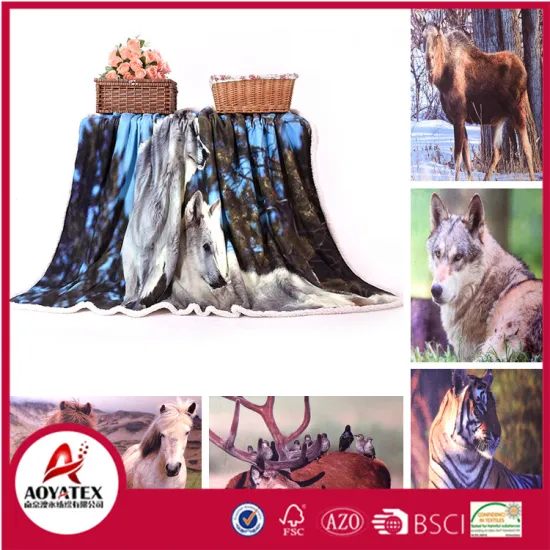 double layer photo printing blanket double face digital print sherpa blanket