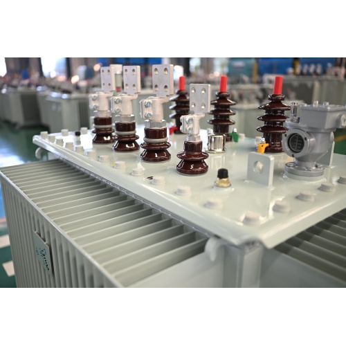 Trasformatore di distribuzione S13-M-100 20KV