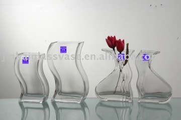 fascinating transparent glass vase