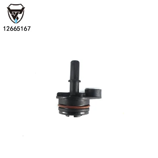 Auto Parts: Positive Crankcase Ventilation Valve 12665167 for Chevrolet Equinox