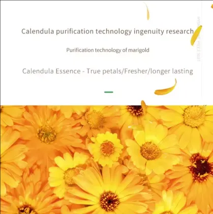 Wholesale Natural Skincare Kit: Calendula Face Cream & Eye Cream Set