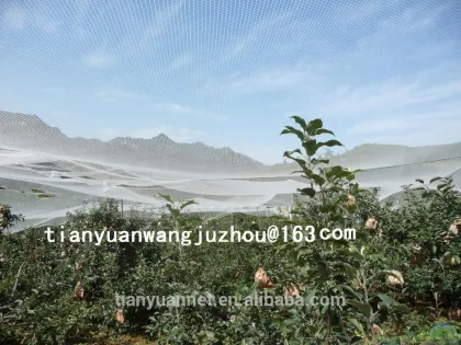 tree anti hail net,hail protection net