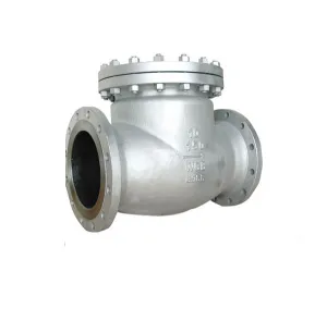 API Standard Check Valve
