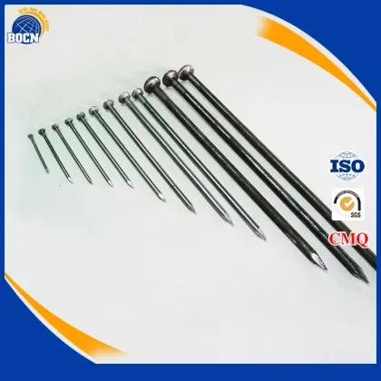construction nails common nails polished nails