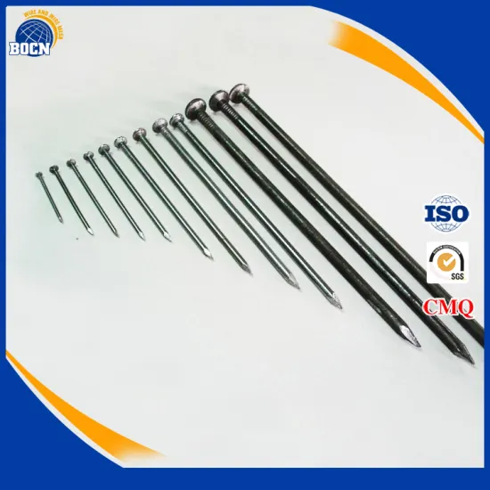 Iron Nail Common Wire Nail