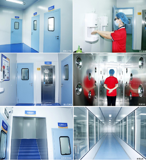 GMP Standard Workshop