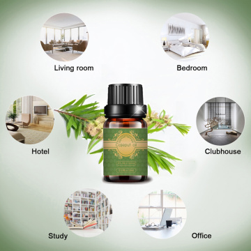 Organic Certified Cajeput Essential Oil for bulk purchase