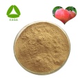 Pomegranate Peel Extract Punicalagin 40% Powder