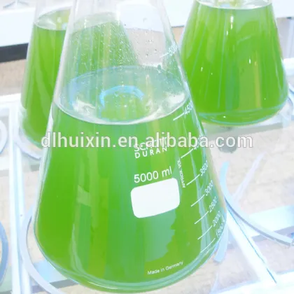 Algae storage rack