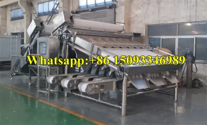 High Capacity Prawn Selection Classifier Machine