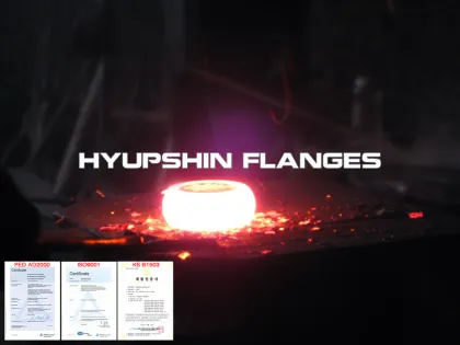 Forging / Forged Flange