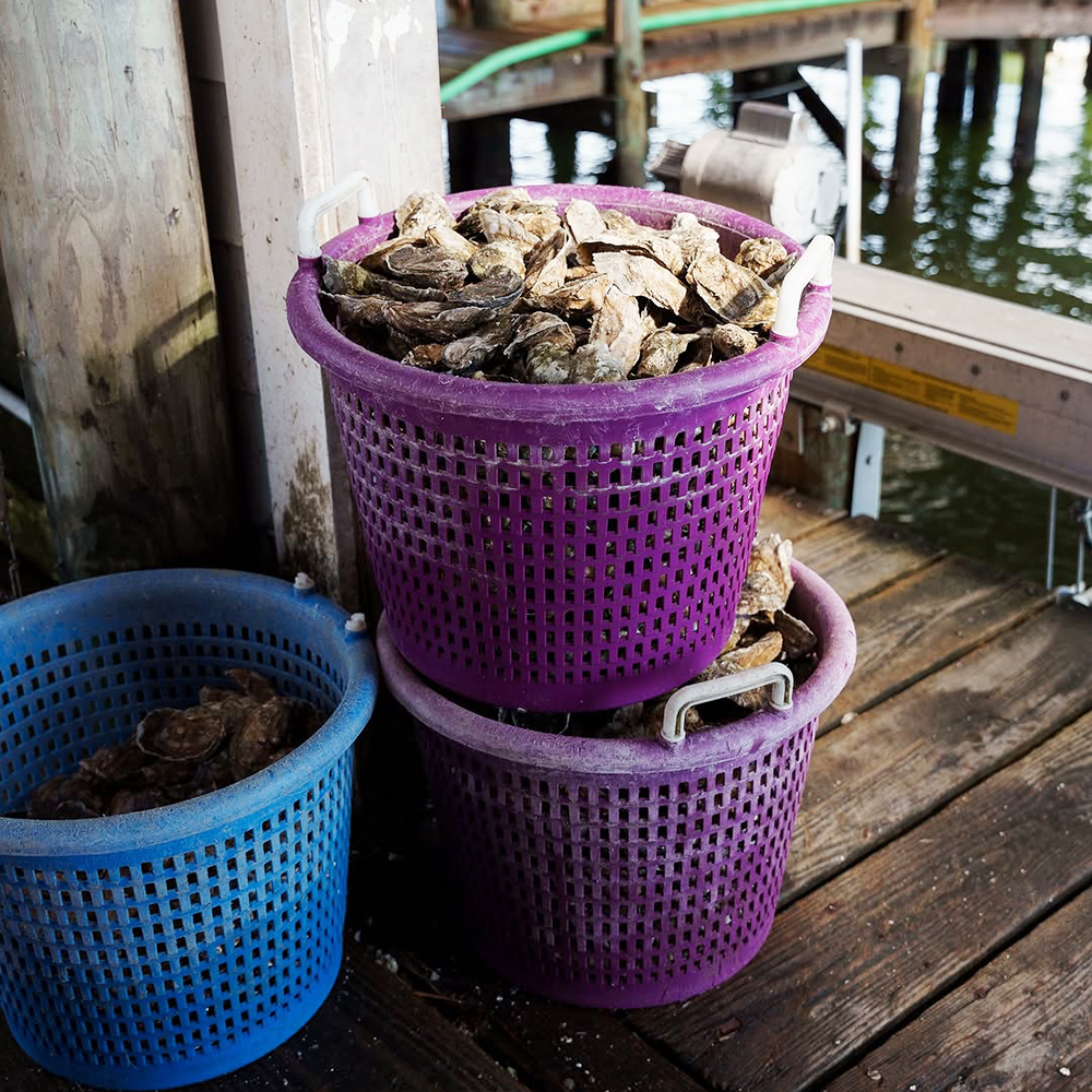 Oyster Transfer Basket (1)