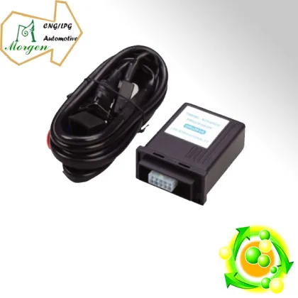 Time advance processor for Auto gas system