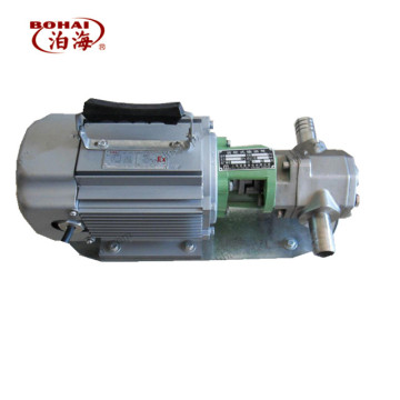 WCB Magnetic Connection Portable Diesel Oil Electric Gear Pump