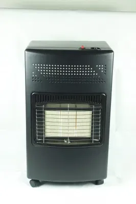 Wall Mounted Natural Gas Heater