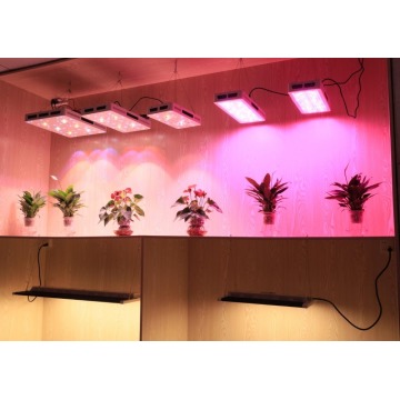 Plantas de frutas 3000w de alta calidad Led Grow Light