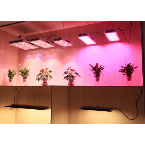 Kualitas tinggi 3000w Tanaman Buah Dipimpin Grow Light