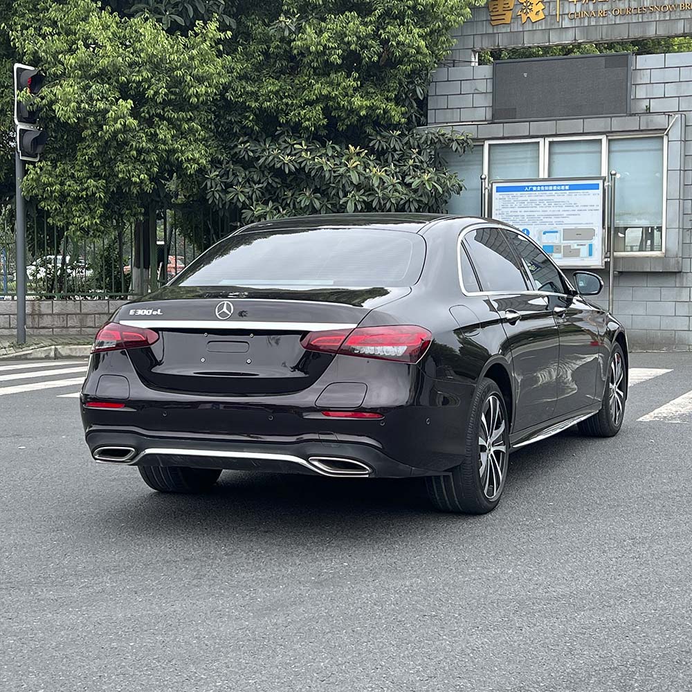 Benz E350 e L (5)