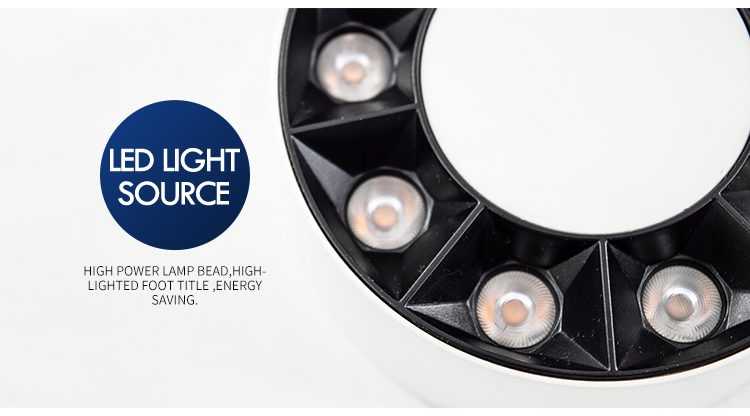 Black And White Surface Mounted Downlight