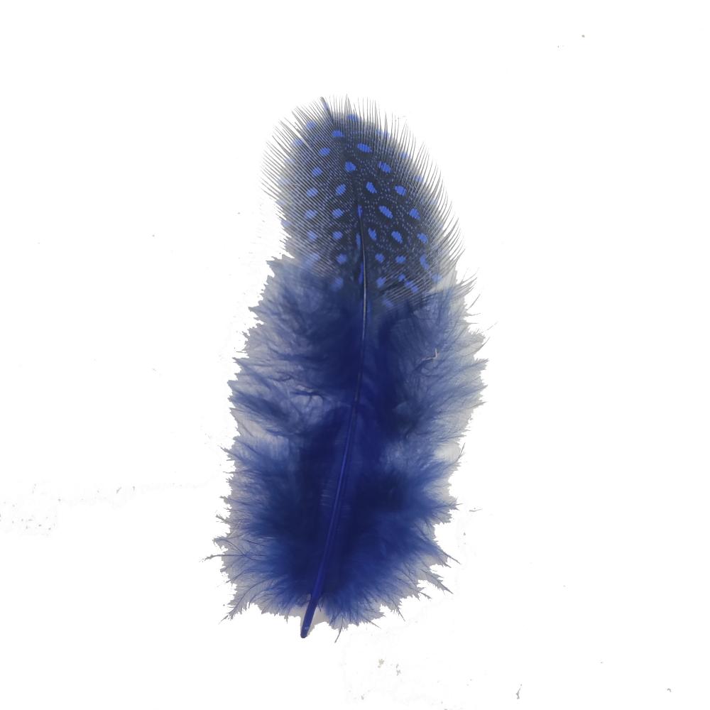 Bule Feather