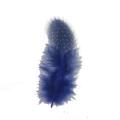 Hot Sale Colorful Dyed Pearl Chicken Feather