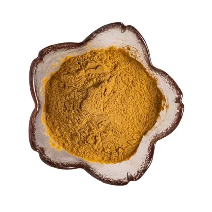factory supply natural astragalus root extract powder 10:1astragalus membranaceus root extract