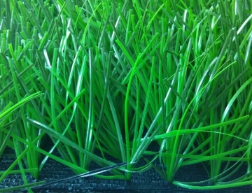 55mm Monofilament Baseball Artificial Grass