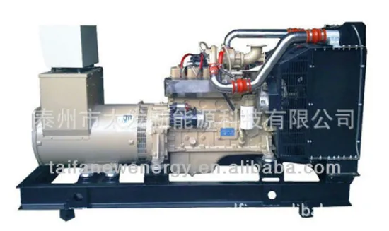 Competitive Price Gas natural generator 30kw with water cooled