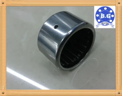 Skf/ina/iko Needle Roller Bearings Bk2512/bk2516/bk2520