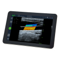 farm ultrasound machine
