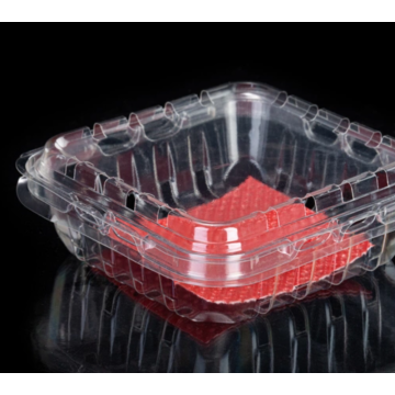 Shockproof Plastic Transparent Fruit Packaging Box