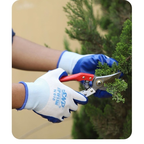 Premium Nitrile Gloves for Professional Use