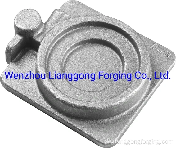 Customized Hot Forged Hubing -Teile