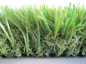 High Quality Normal Shape Landscape Grass
