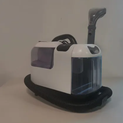 Home Cleaning Appliances: Steam Iron, Carpet Cleaner, Auto Washing Vacuum