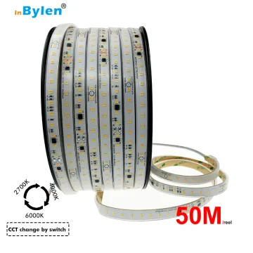 10W 220V Dual Color Temperature CCT Dimmable LED Strip