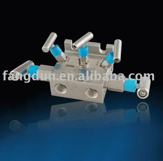 instrumentation manifolds,5-valve pipe * flange manifolds,differential pressure manifolds