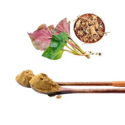 Nature Product houttuynia cordata extract