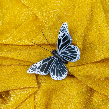 Butterfly craft early years