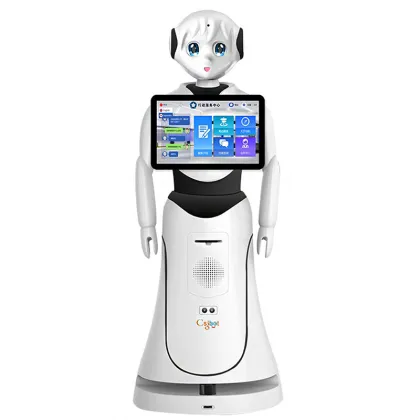 Female Customer Service Receptionist Robot Automation Assistant