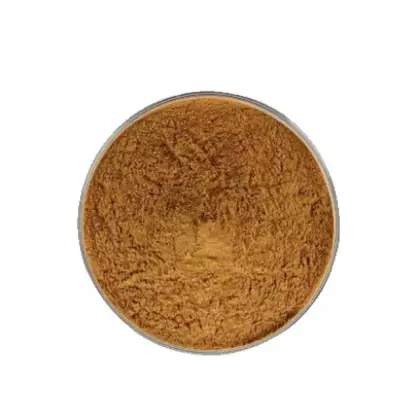 Mulberry Leaf Extract Powder