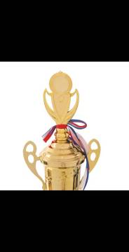 Metal trophy
