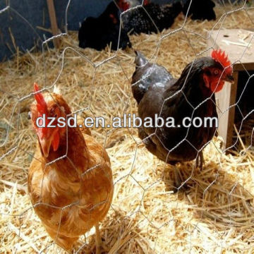 poultry nets/hexagonal wire mesh