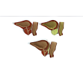 Prostate Pathological Model( medical education)