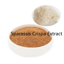 Buy online ingredients Sparassis Crispa Extract powder