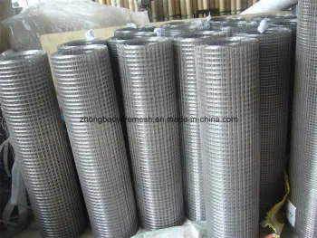 Hot Dipped Galvanized Welded Wire Mesh